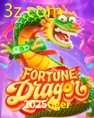 2025TIGER.COM
